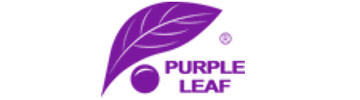 Purple Leaf