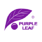 Purple Leaf